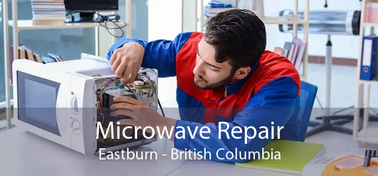 Microwave Repair Eastburn - British Columbia
