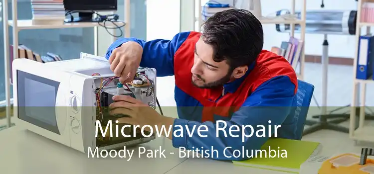 Microwave Repair Moody Park - British Columbia