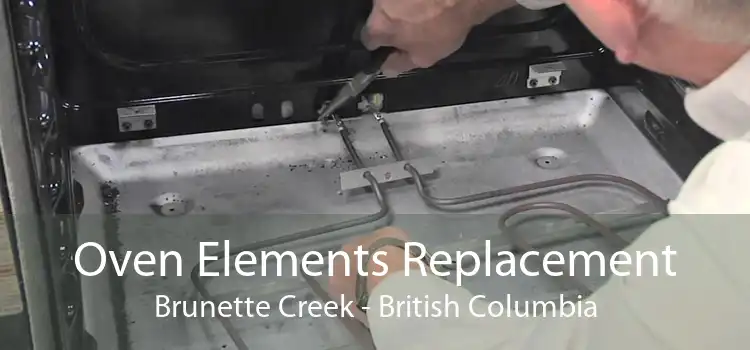 Oven Elements Replacement Brunette Creek - British Columbia
