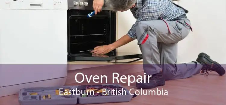 Oven Repair Eastburn - British Columbia