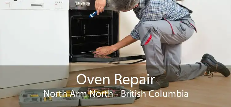 Oven Repair North Arm North - British Columbia