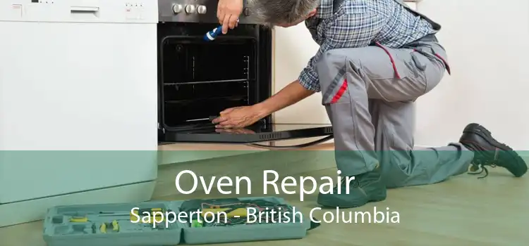Oven Repair Sapperton - British Columbia