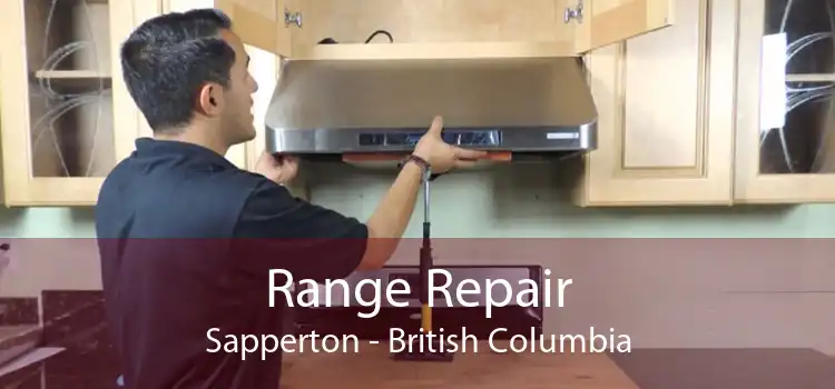 Range Repair Sapperton - British Columbia
