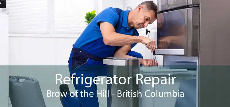 Refrigerator Repair Brow of the Hill - British Columbia