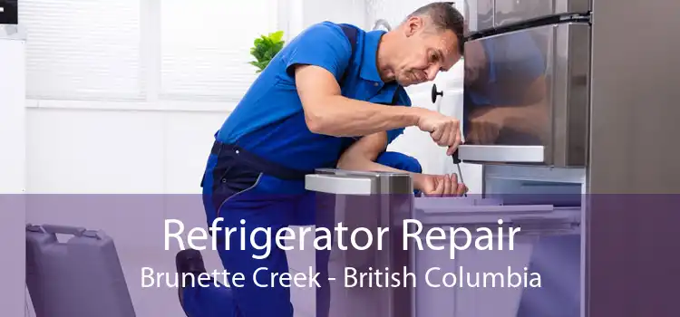 Refrigerator Repair Brunette Creek - British Columbia