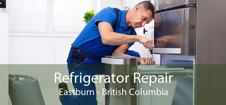 Refrigerator Repair Eastburn - British Columbia
