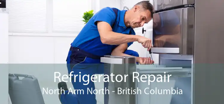 Refrigerator Repair North Arm North - British Columbia