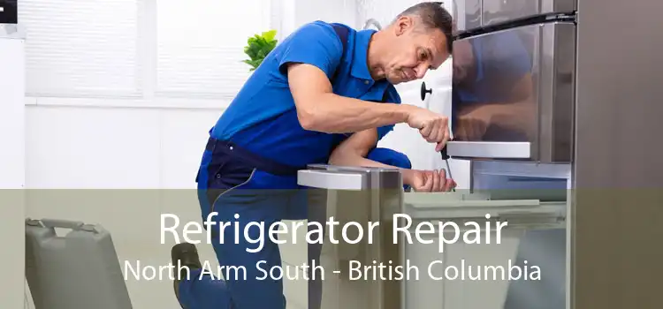 Refrigerator Repair North Arm South - British Columbia