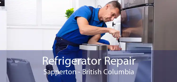 Refrigerator Repair Sapperton - British Columbia