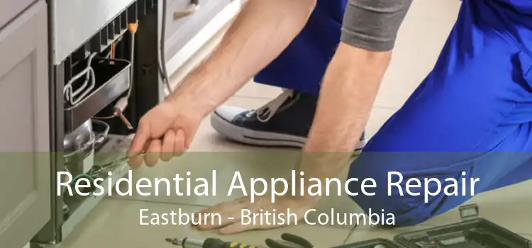 Residential Appliance Repair Eastburn - British Columbia