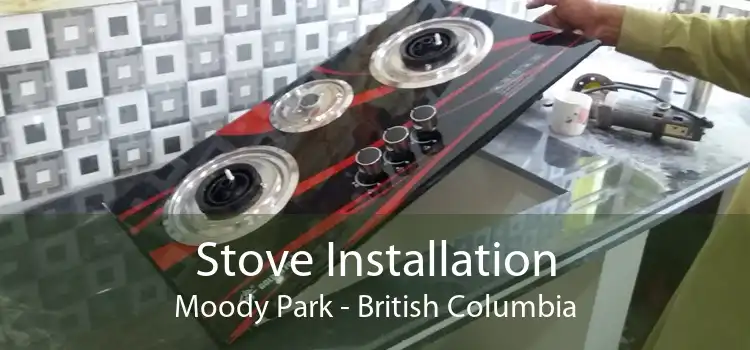 Stove Installation Moody Park - British Columbia