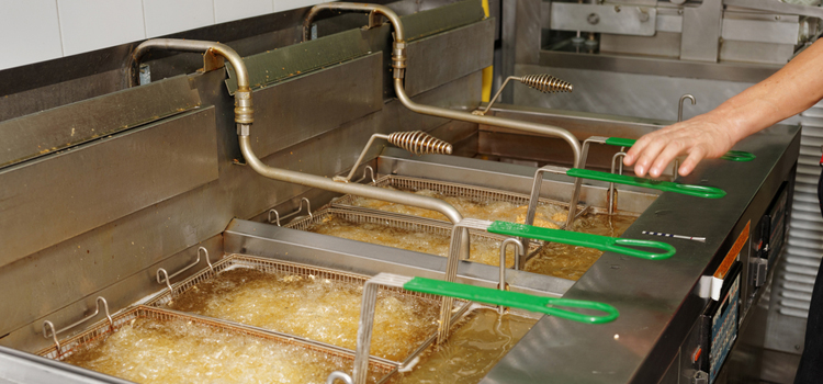 Commercial Fryer Repair in New Westminster